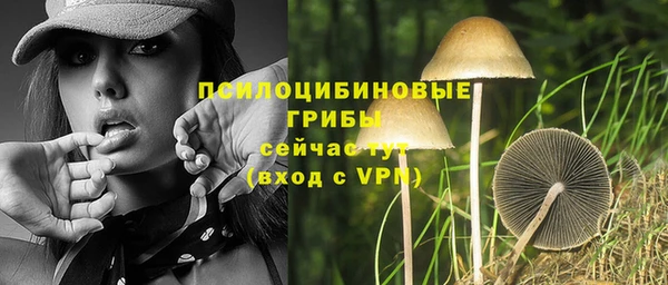 соль курить ск Горняк