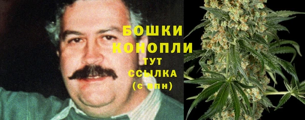 мяу мяу мука Вязьма